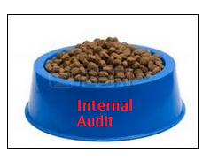 eat internal audit dog food